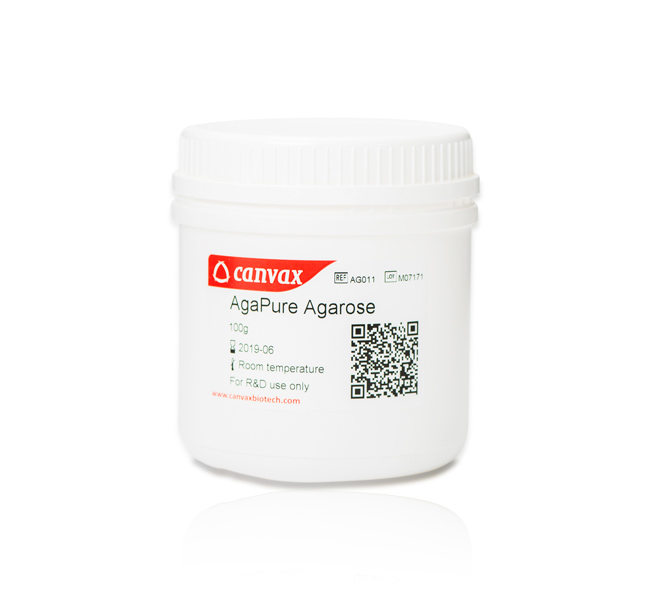 DNA elektroforéza