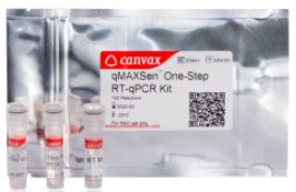 qPCR