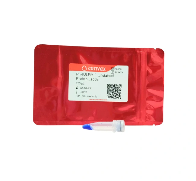 PriRULER™ Unstained Protein Ladder I (12–80 kDa), 250 ul