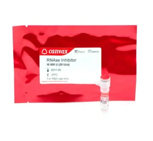 RNAse Inhibitor