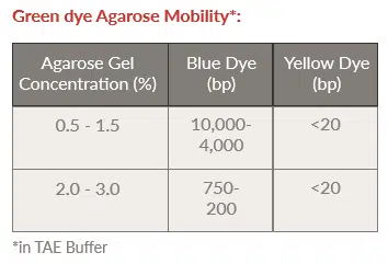 Horse-Power™ Green-Taq DNA Polymerase, MasterMix