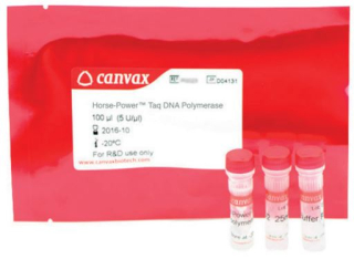 Horse-Power™ Taq DNA Polymerase