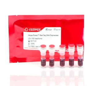 Horse-Power™ Red-Taq DNA Polymerase, MasterMix