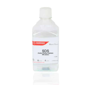 SDS (10% solution)