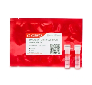  qMAXSen™ Green qPCR MasterMix (w/o ROX™) 4 x 1,25 mL (500 rxn)